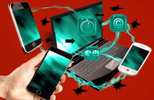 米兰体育入口-裁判团队数字考核系统试运行，裁判员管理平台