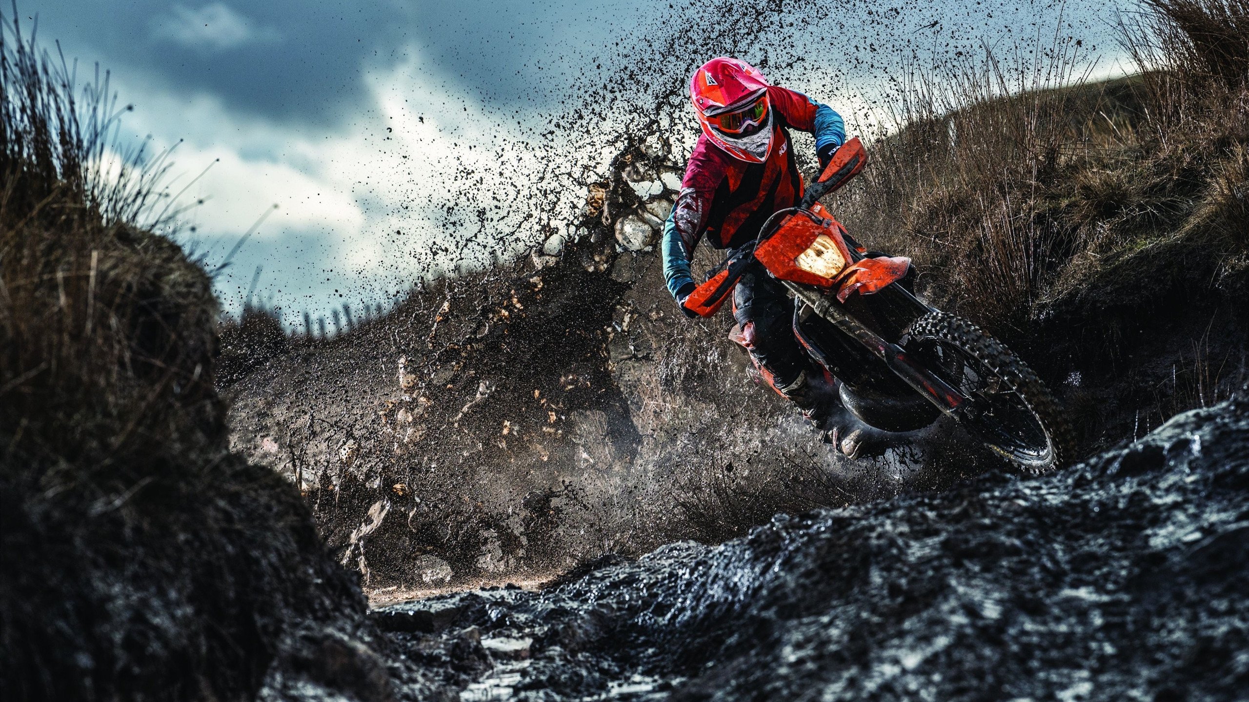 Radisavljevic 打动人心的归化之路令人动容，归化英文